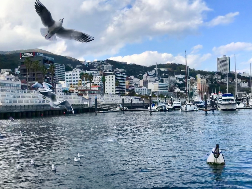 f:id:soraumi2002:20181101214820j:plain f:id:soraumi2002:20181101214820j:plain