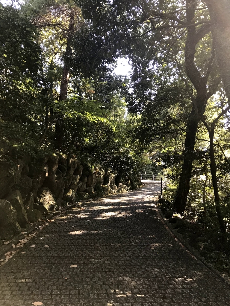 f:id:soraumi2002:20181210223720j:plain