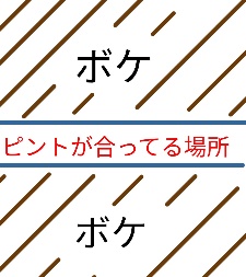f:id:soraumi8:20181217223518j:plain f:id:soraumi8:20181217223518j:plain