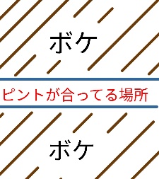 f:id:soraumi8:20181217223518j:plain