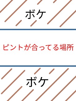 f:id:soraumi8:20181217223552j:plain f:id:soraumi8:20181217223552j:plain