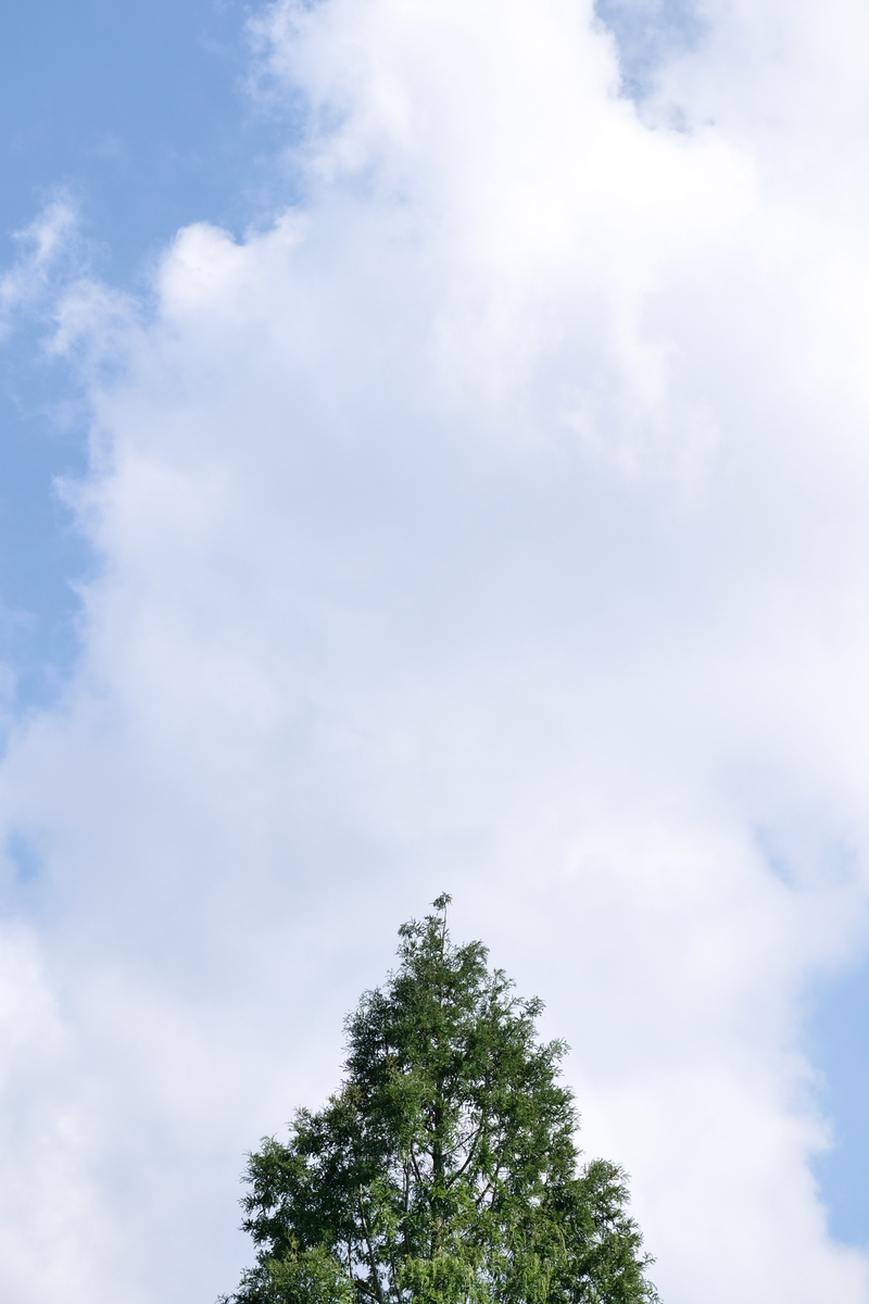 f:id:soraumi8:20190918152717j:plain