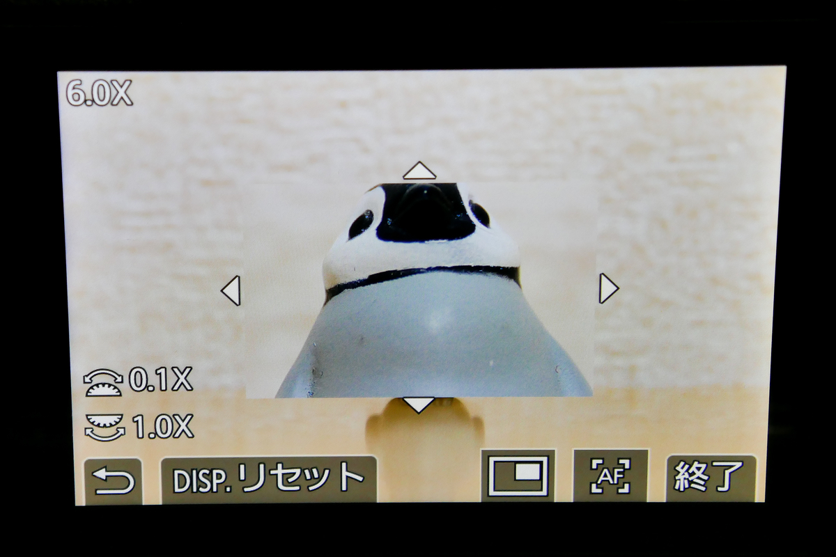 f:id:soraumi8:20190922201433j:plain