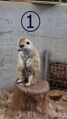 f:id:sorawaaoi2016:20190121225025j:plain f:id:sorawaaoi2016:20190121225025j:plain