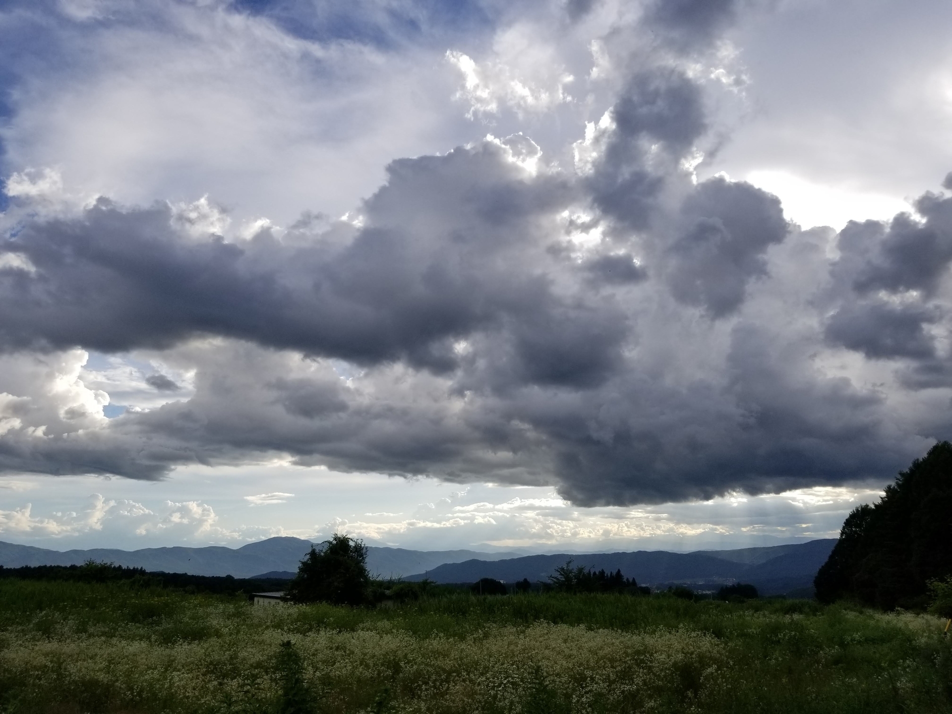 8月暑い夏怪しい雲や光る午後 Fuwari Fuwari ふわふわり 8月暑い夏怪しい雲や光る午後 Fuwari Fuwari ふわふわり