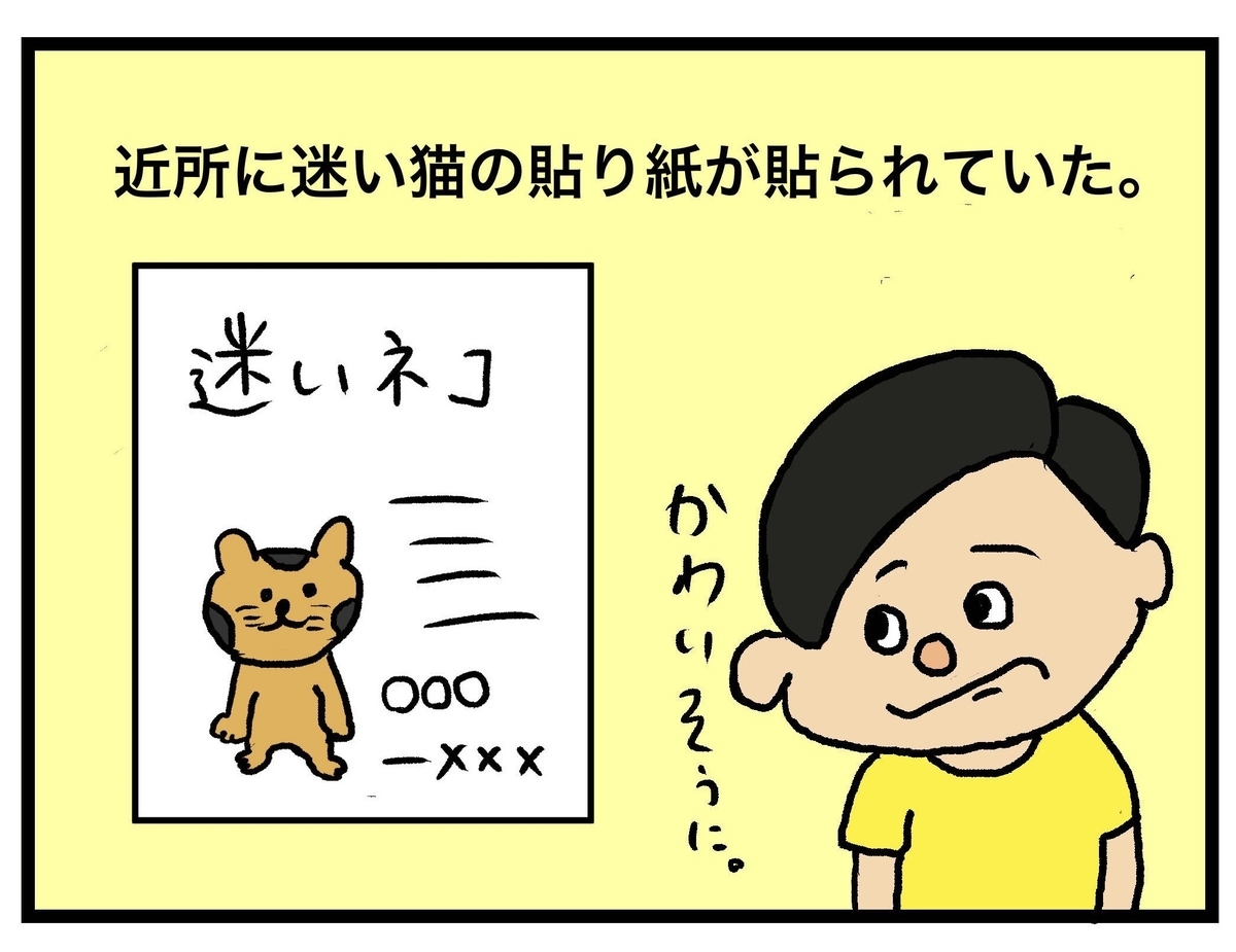 パリの猫たち