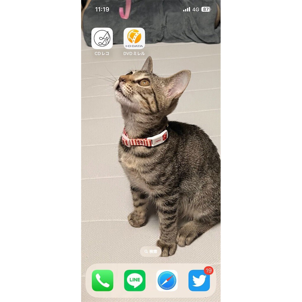 待ち受けはめちゃくちゃかわいいうちの猫です