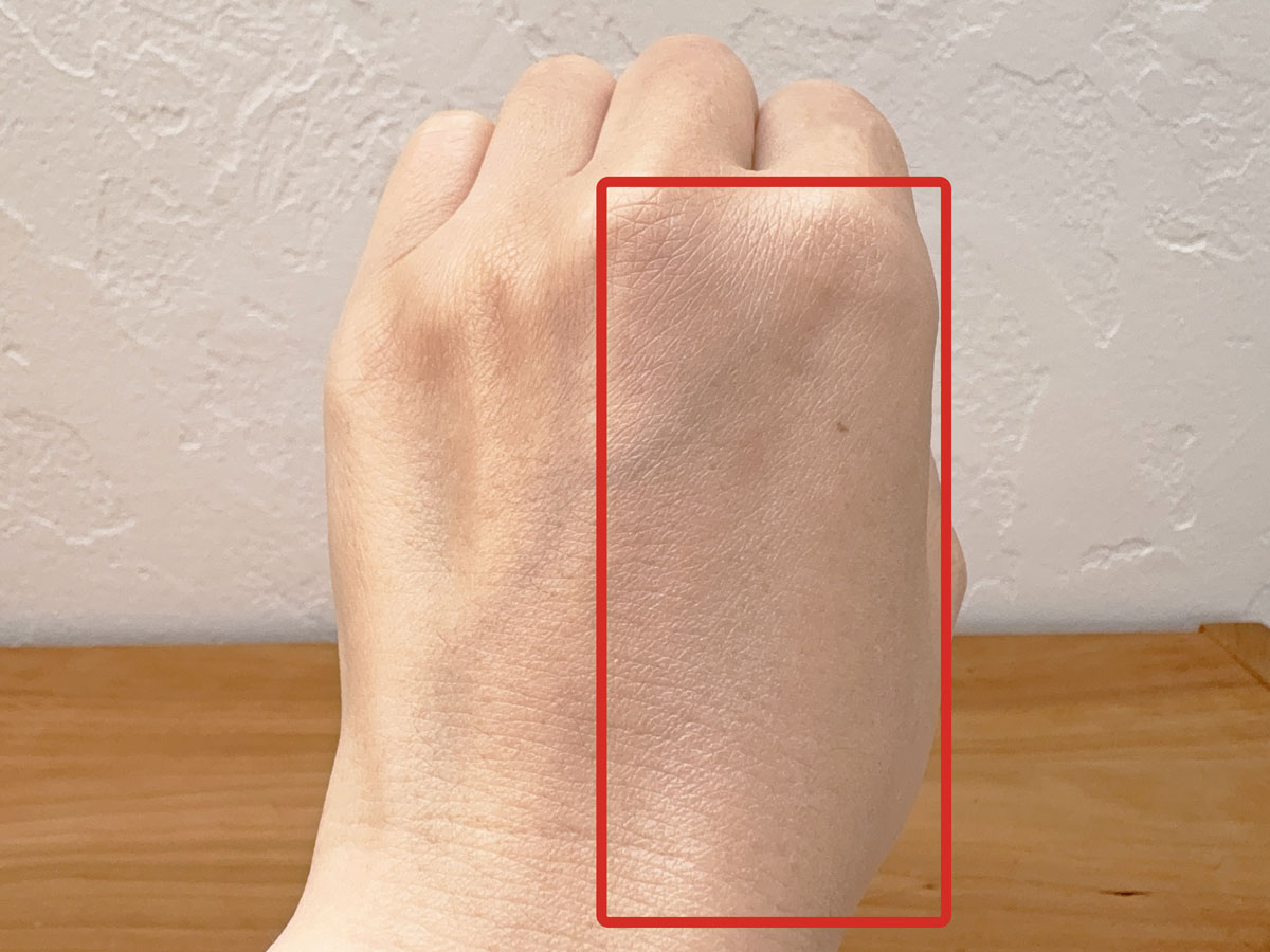 SHISEIDO エッセンス スキンセッティング パウダー