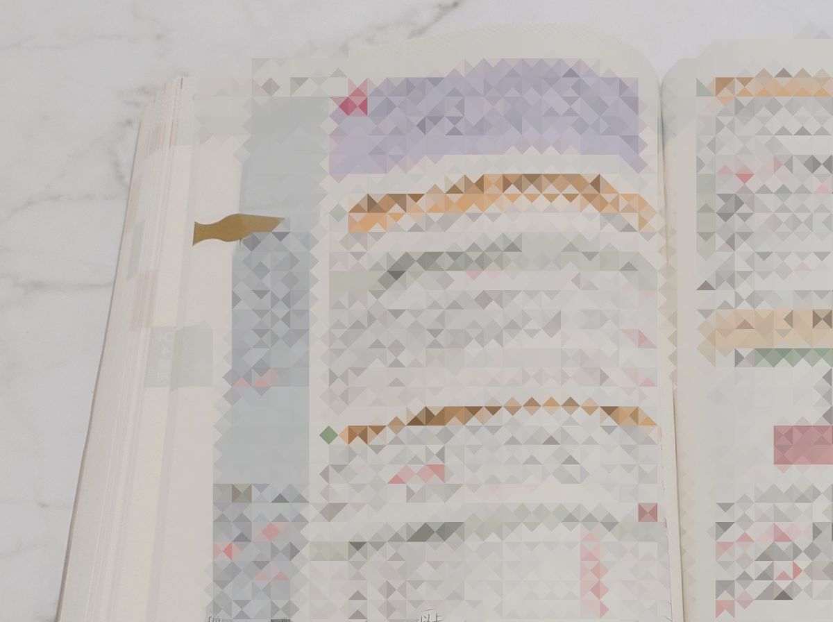 ブックダーツを参考書に挟んだ画像