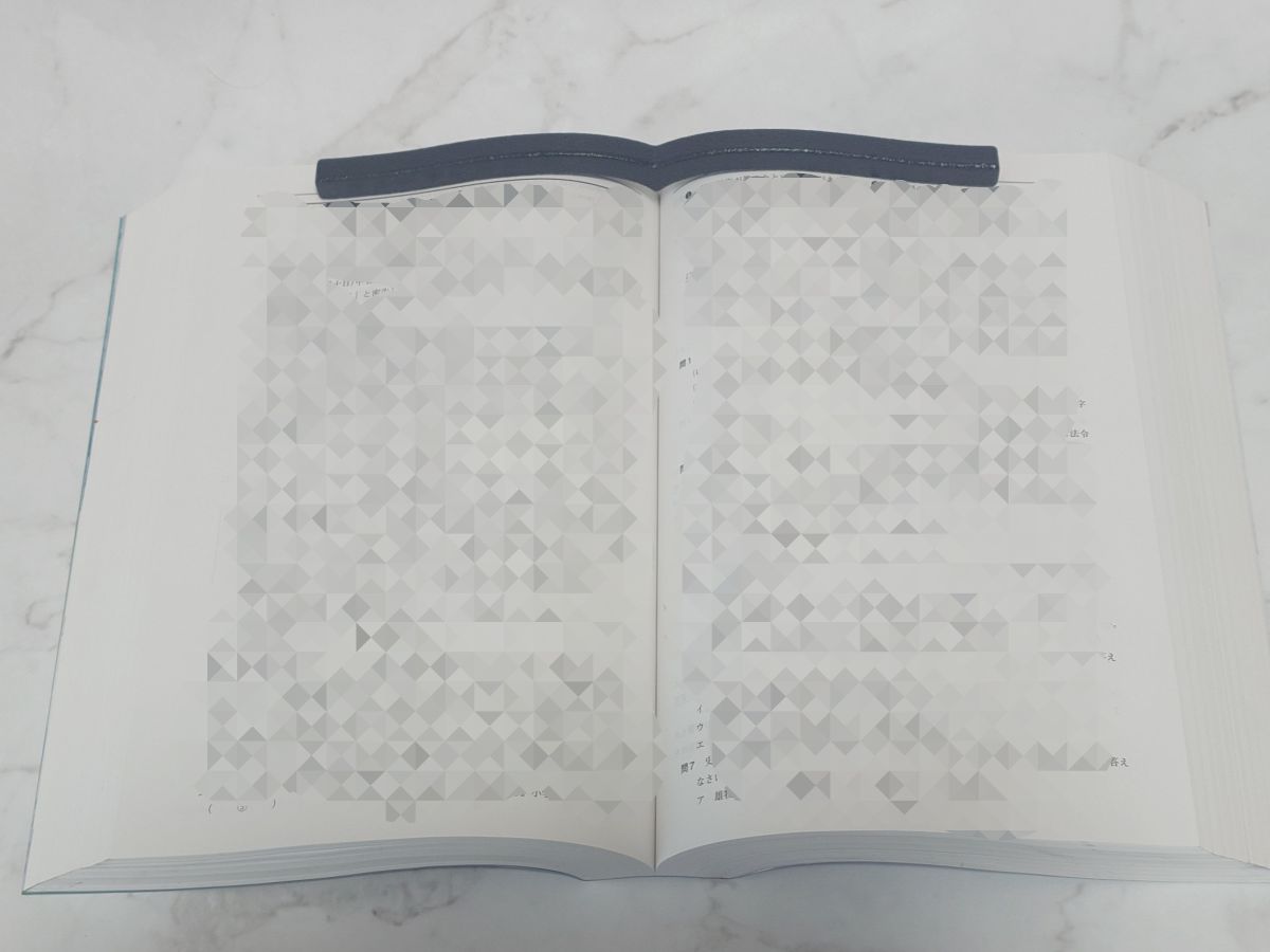 本に寄り添う文鎮を参考書に置いた画像