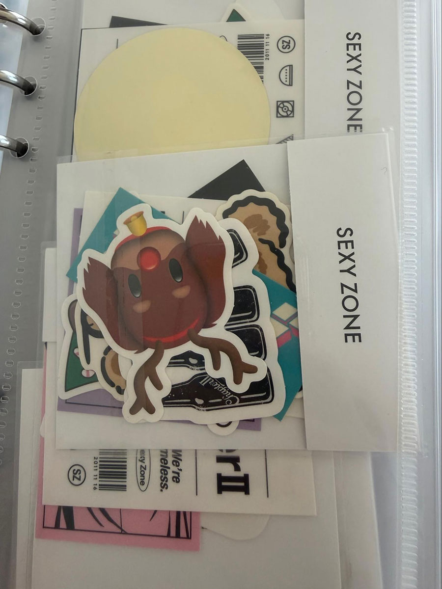 グッズもまとめて保管
