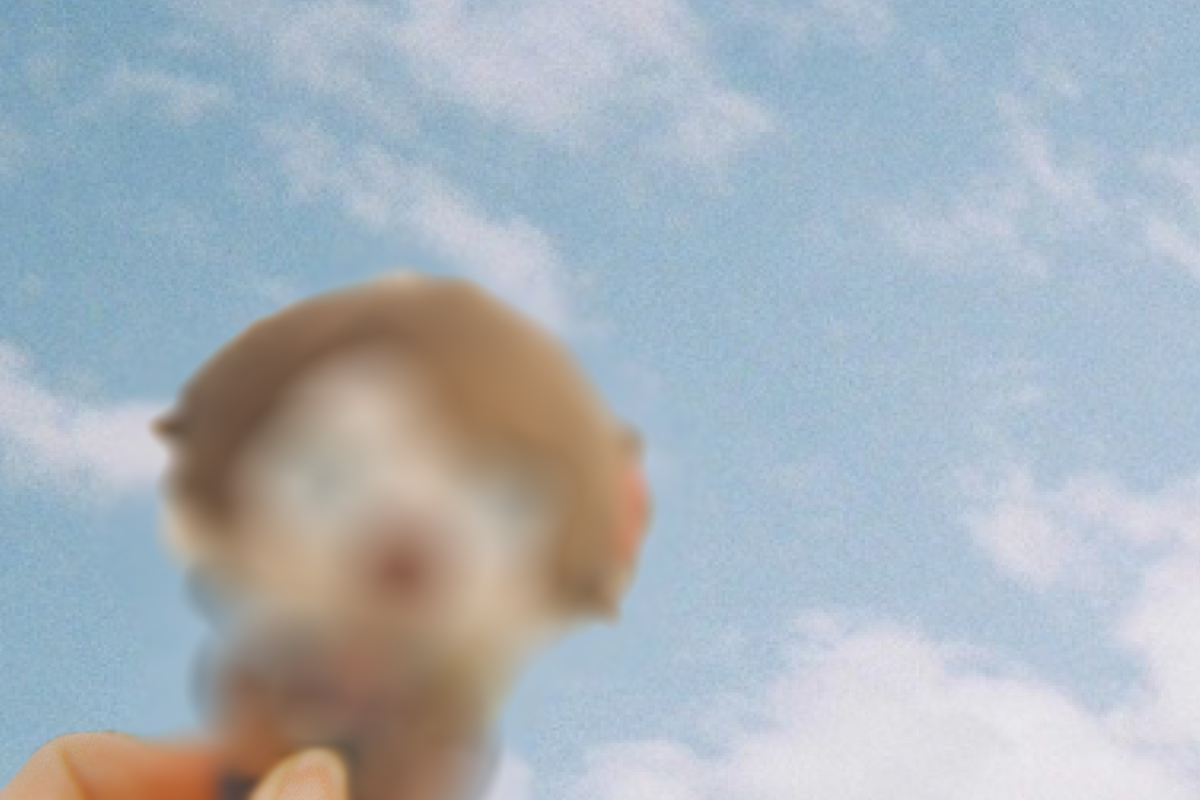 写ルンです