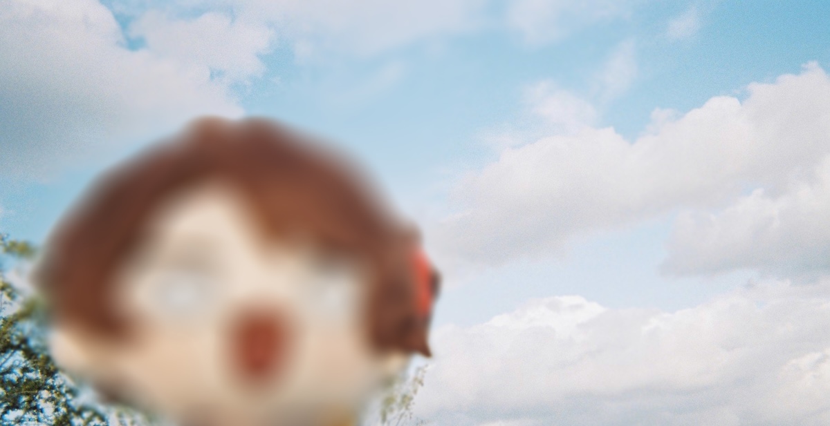 写ルンです