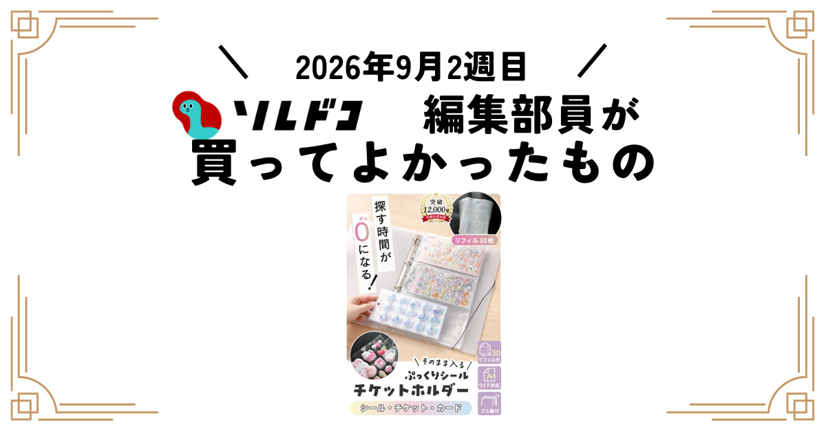 シール集めが捗る！ぷっくりシールも台紙のまま入るA4ファイル｜編集部の買ってよかったもの（2026年9月2週目）