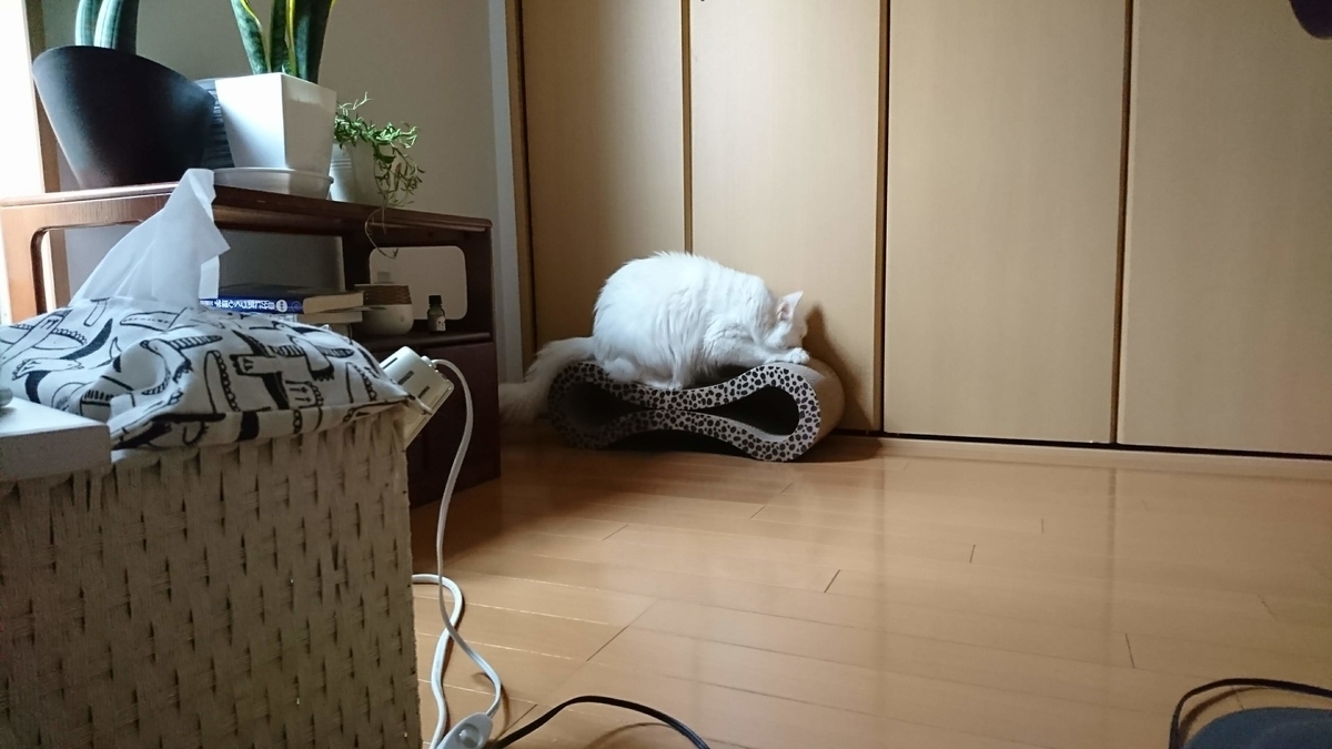 f:id:sorekaraenikki:20200422142325j:plain f:id:sorekaraenikki:20200422142325j:plain