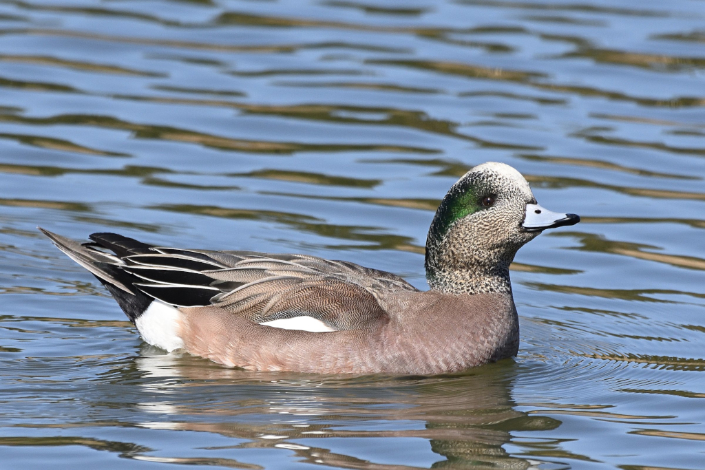 f:id:soremoz:20210410035732j:plain