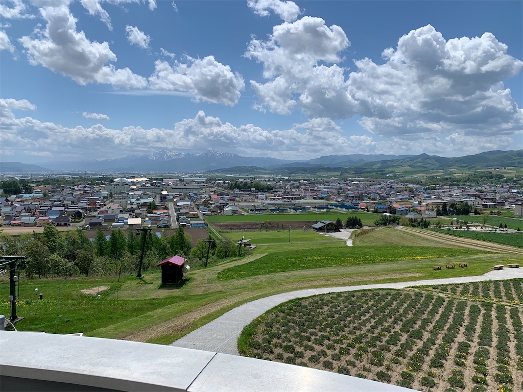 f:id:sorenachiw:20210529223515j:plain