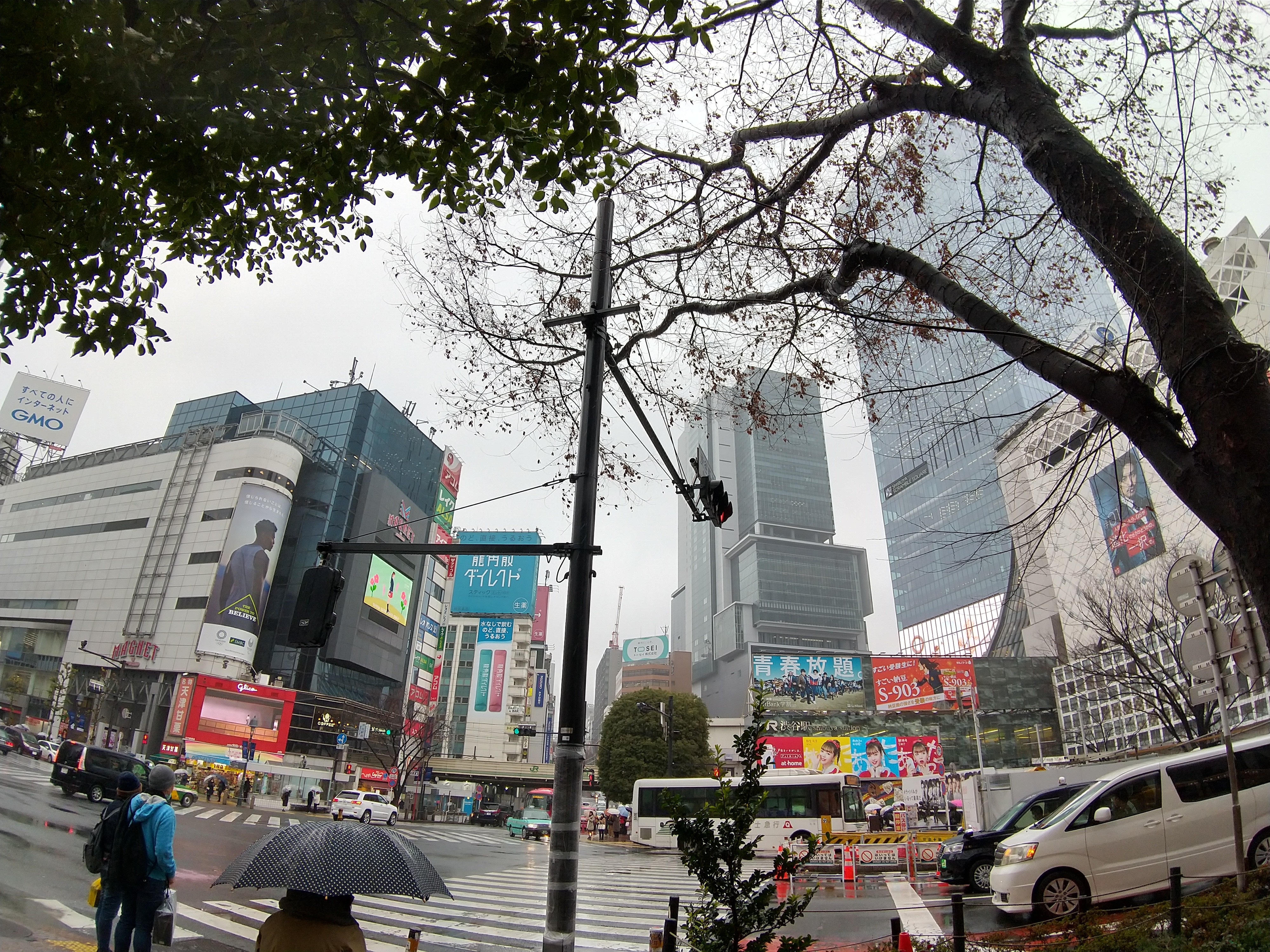 渋谷のポタパスタで王道のペペロンチーノを食べてきた感想 ニンニクとイタリアンパセリがすげぇ効いてて旨いぞ そして何より安いのが嬉しい 食べ歩きまくる難病アトピー性脊髄炎ブログ Atopic Transverse Myelitis Intractable Disease Blog