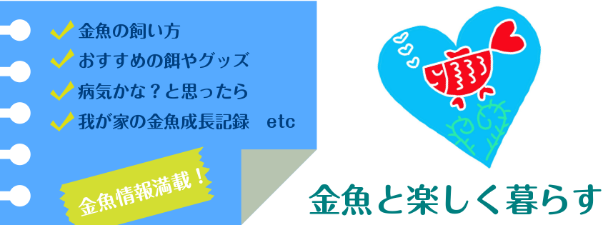 f:id:sorenari77:20170420171129p:plain f:id:sorenari77:20170420171129p:plain