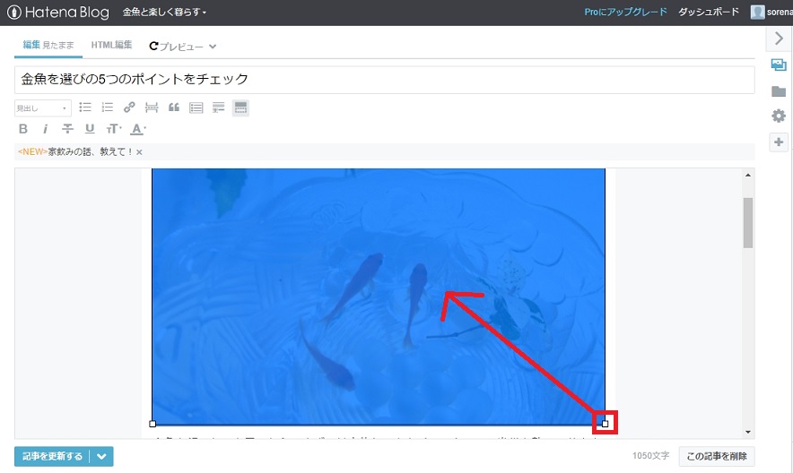 f:id:sorenari77:20170608162847j:plain f:id:sorenari77:20170608162847j:plain