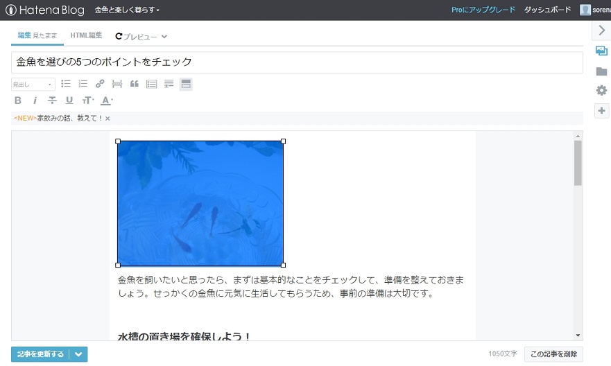 f:id:sorenari77:20170608163029j:plain f:id:sorenari77:20170608163029j:plain