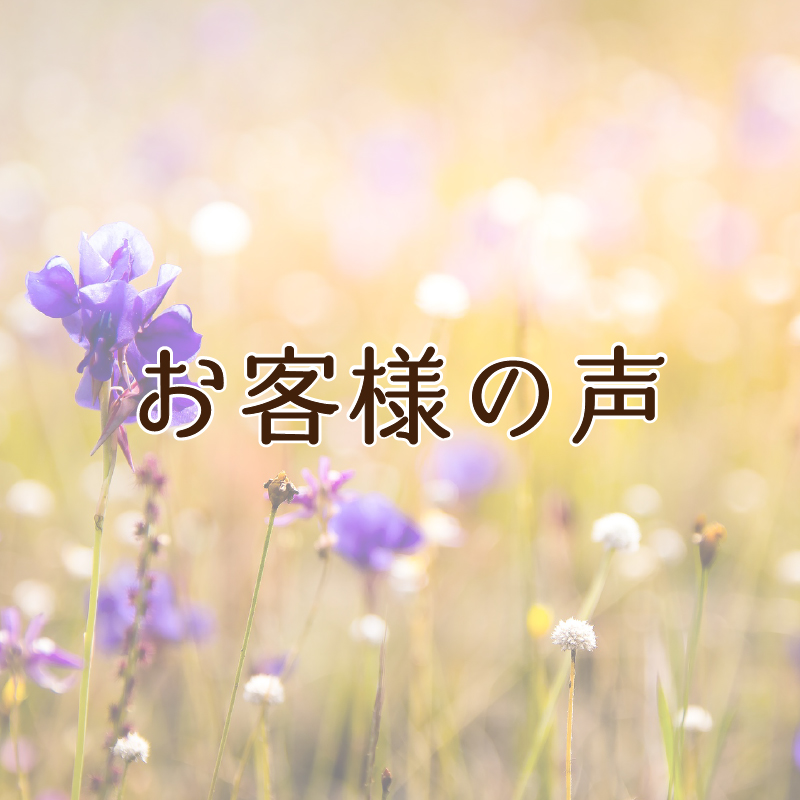 f:id:sorewakaru:20210330152837j:plain