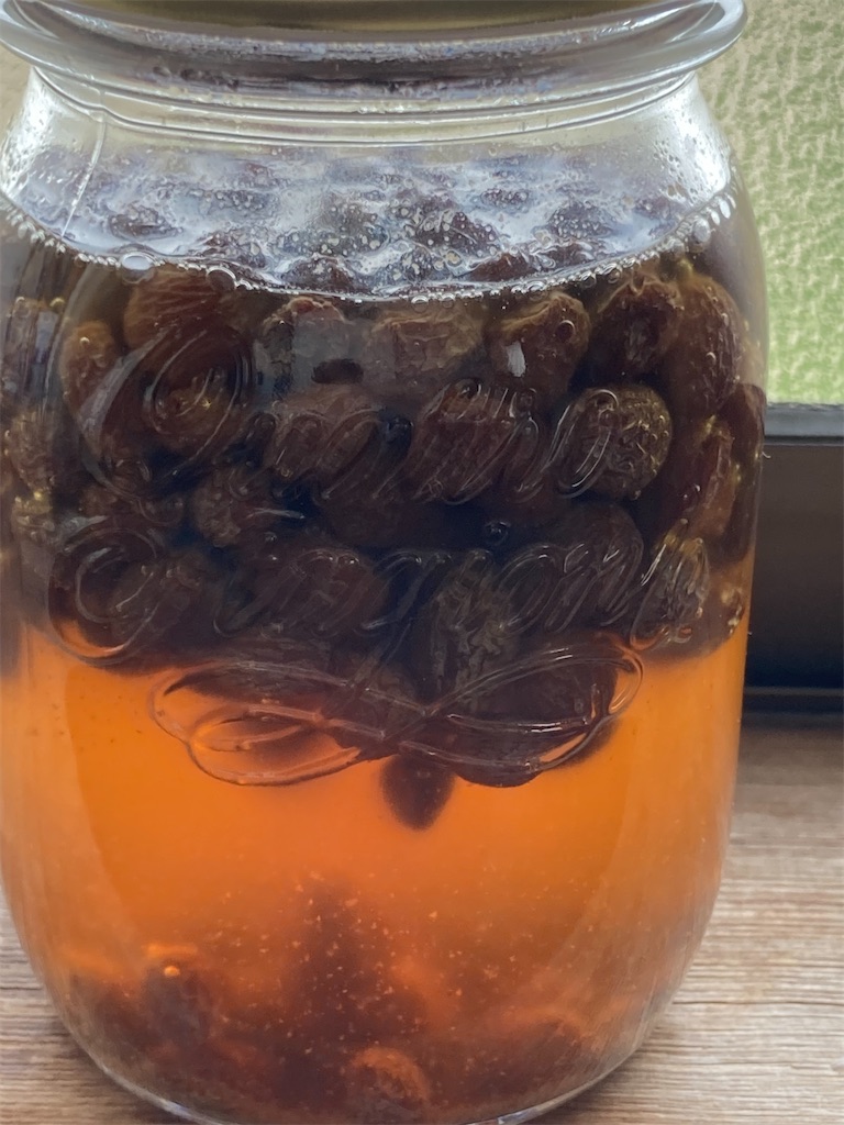 f:id:sori66:20240601170224j:image