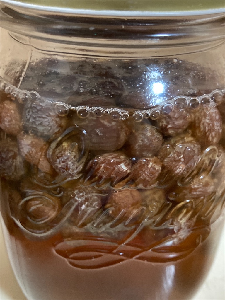 f:id:sori66:20240601170237j:image