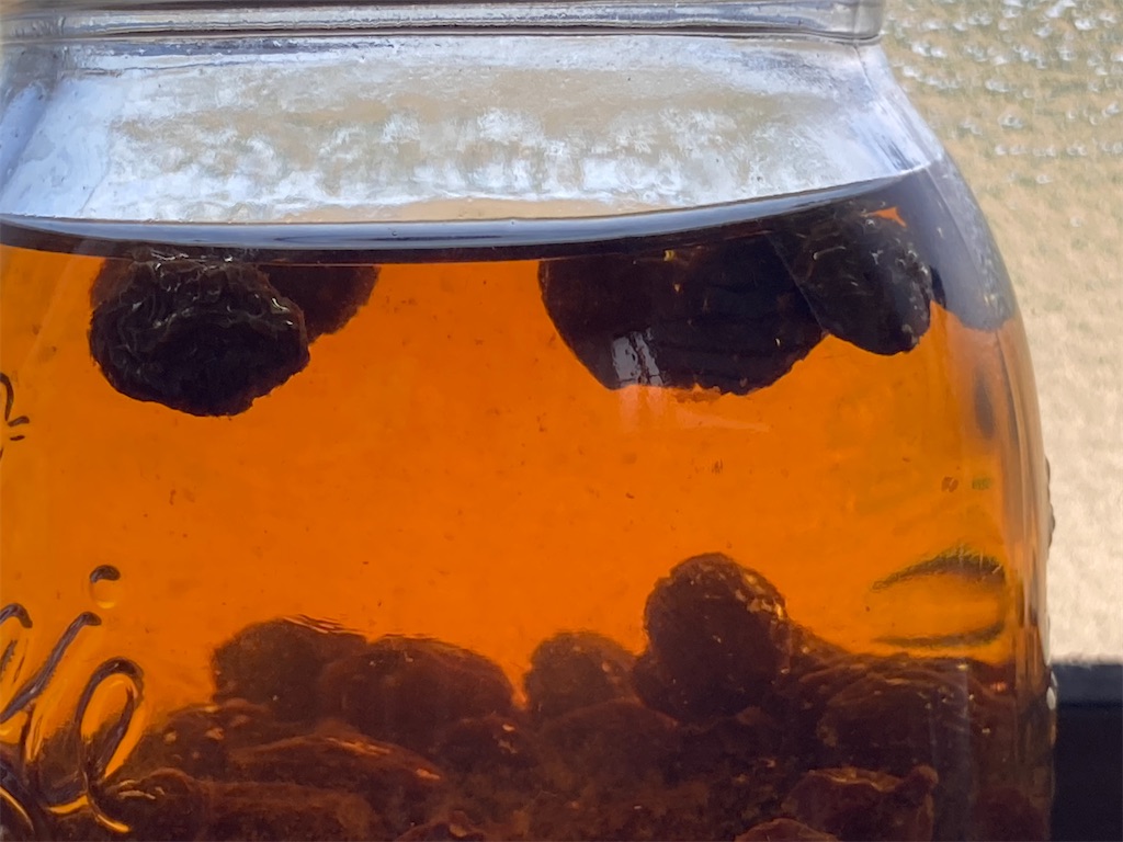 f:id:sori66:20240601170241j:image