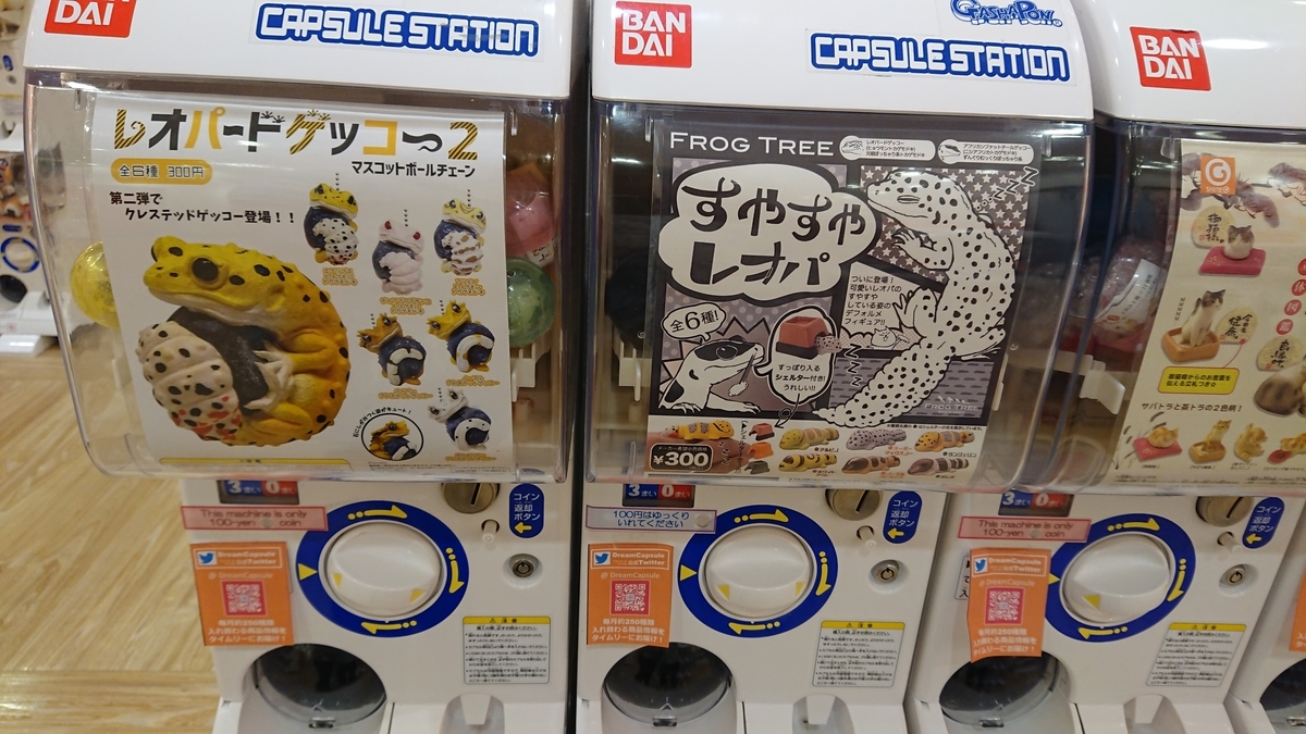 f:id:sorizm:20190512052317j:plain