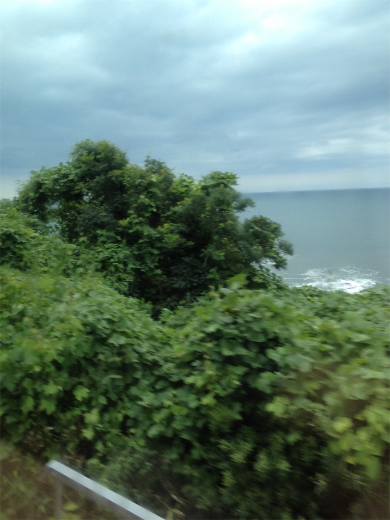 f:id:soro_de_nandemo:20210822184658j:image