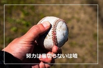 努力は裏切らないは嘘