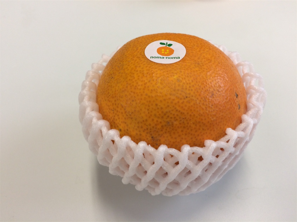f:id:sos_jp:20161226203206j:image