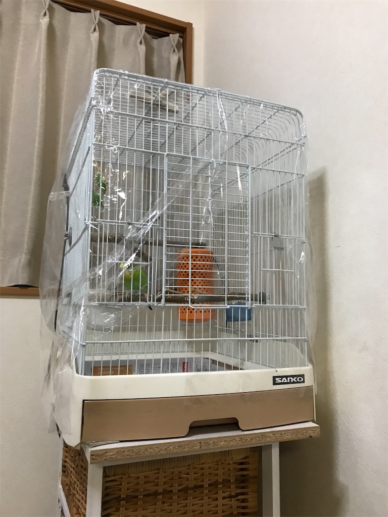 f:id:sos_jp:20180324234132j:image f:id:sos_jp:20180324234132j:image