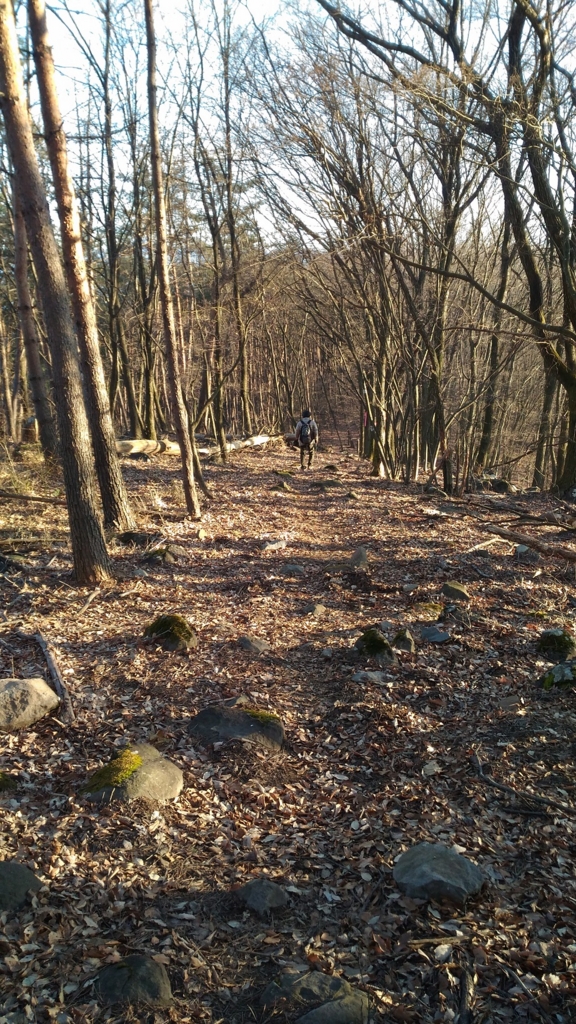 f:id:sosaian:20161222182348j:plain