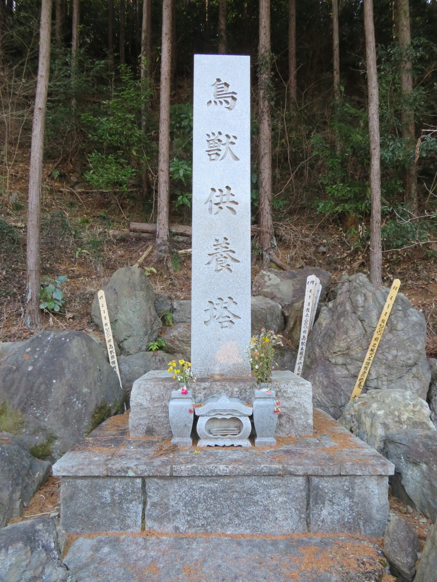 f:id:sosaian:20210206164652j:plain