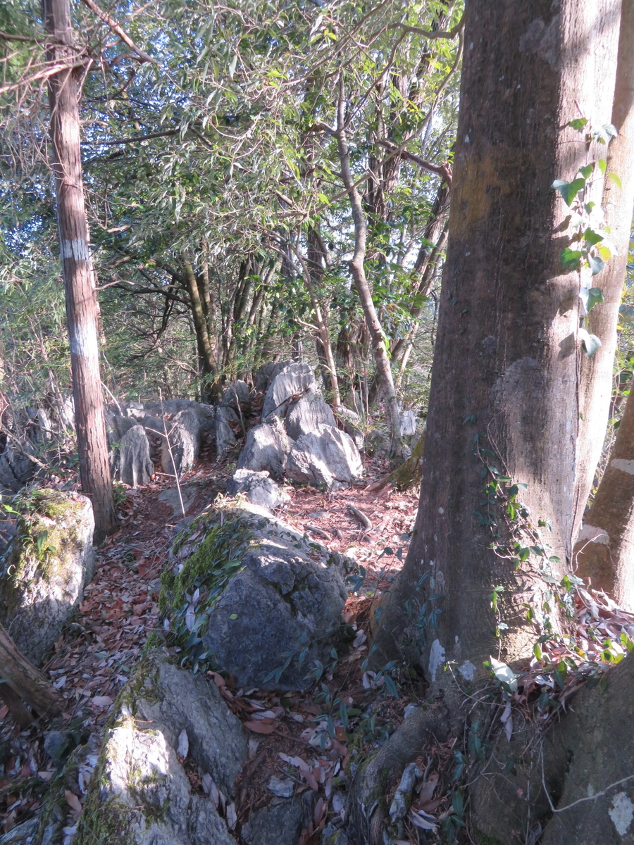 f:id:sosaian:20210206165813j:plain