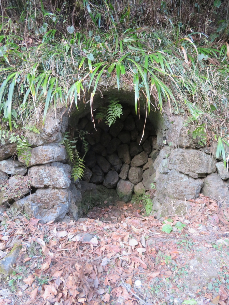 f:id:sosaian:20210206165852j:plain