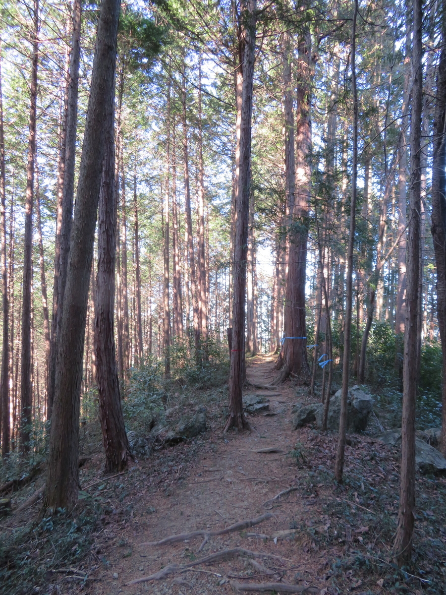 f:id:sosaian:20210206170232j:plain