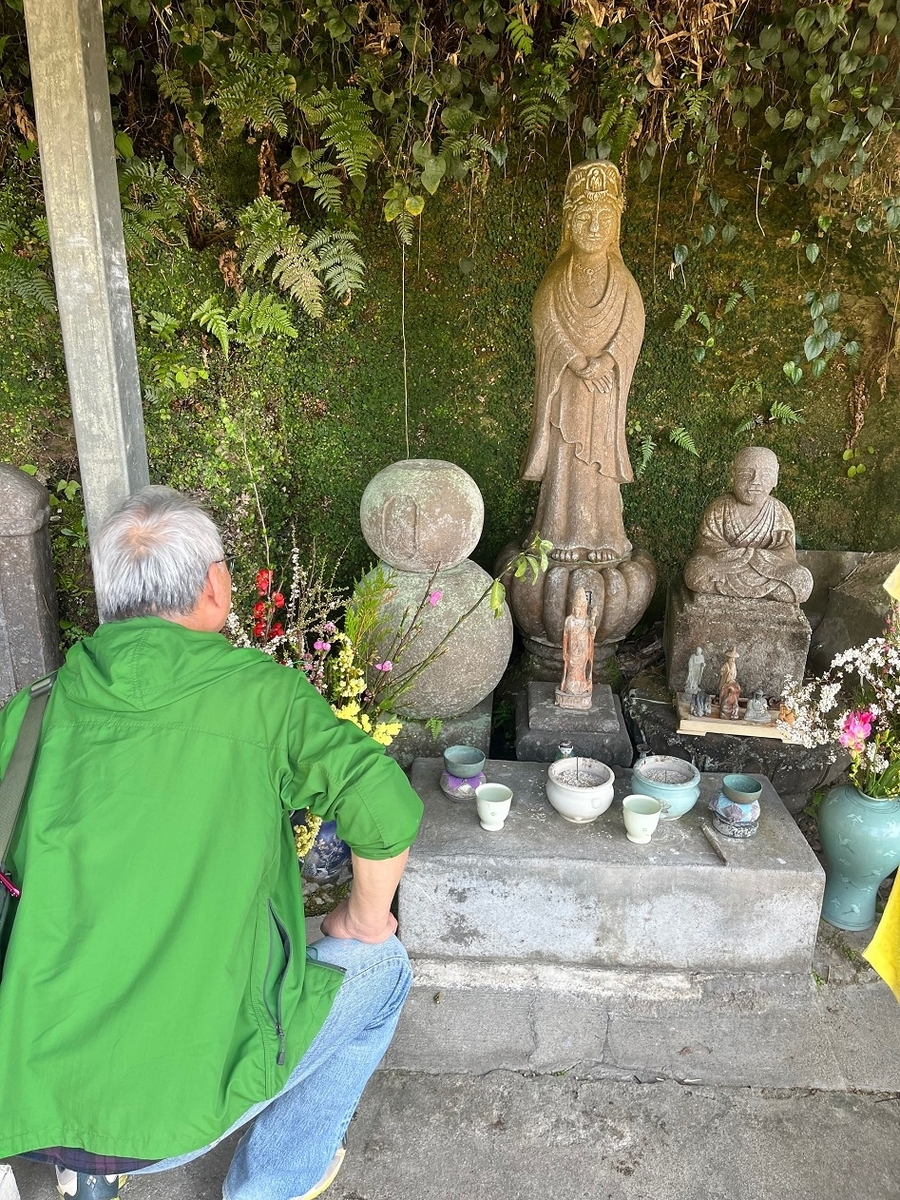 屋久島・南薩摩の旅‐1 （3月21‐22日） - 艸砦庵だより