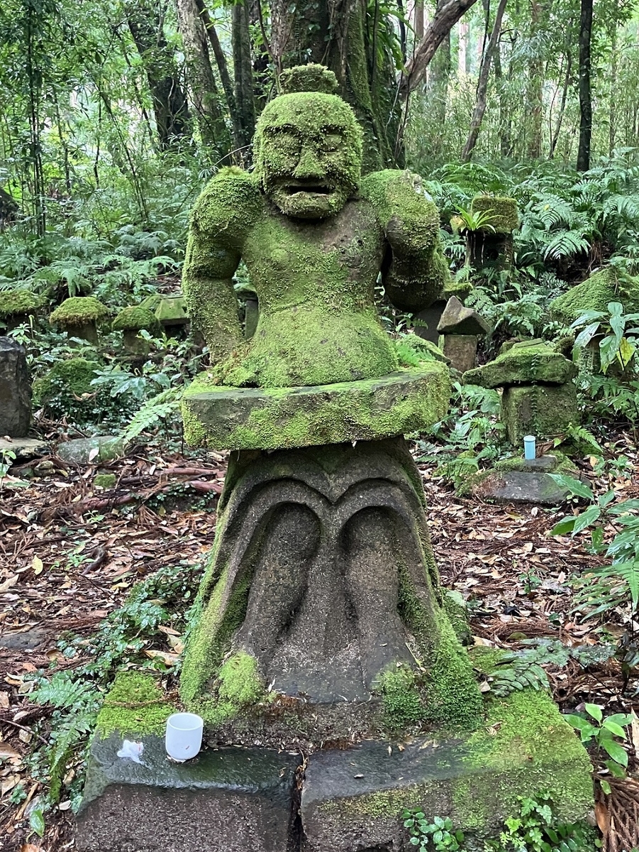 屋久島・南薩摩の旅-4（3月24日 白谷雲水峡～太鼓岩＋宮之浦・楠川