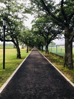 f:id:soshinataoru:20210531163843j:plain
