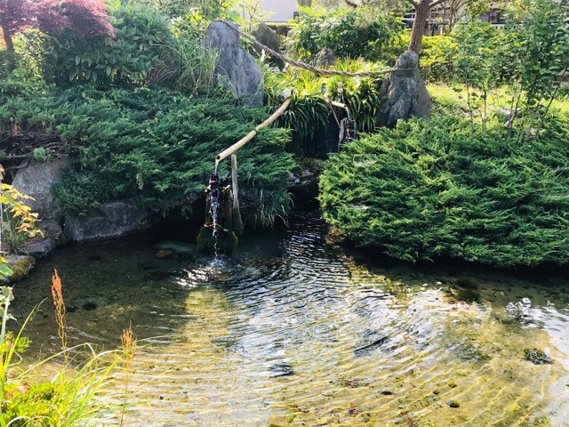 f:id:soshinataoru:20210604132106j:plain