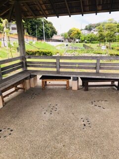 f:id:soshinataoru:20210604132351j:plain