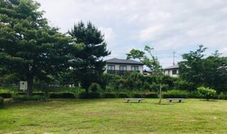 f:id:soshinataoru:20210604132919j:plain