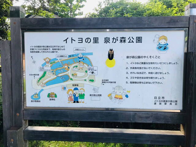 f:id:soshinataoru:20210604133023j:plain