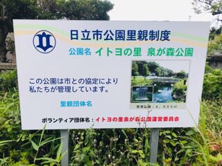 f:id:soshinataoru:20210604133222j:plain