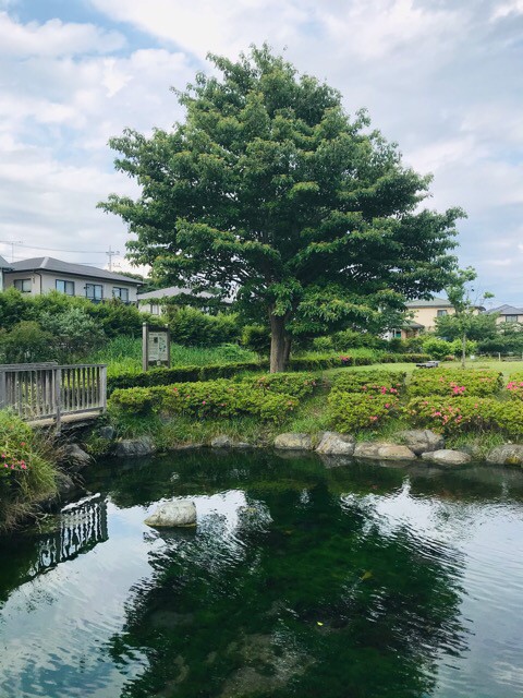 f:id:soshinataoru:20210604133647j:plain