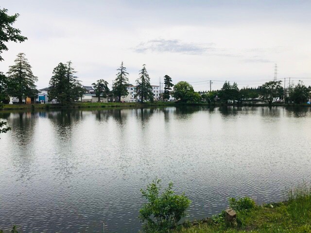 f:id:soshinataoru:20210606164950j:plain