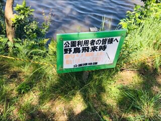 f:id:soshinataoru:20210606171828j:plain